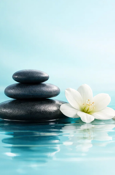 SPA & WELLNESS